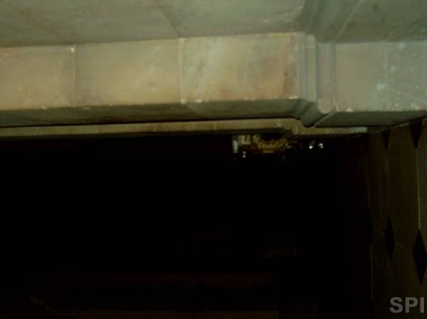 You have reached the last slide